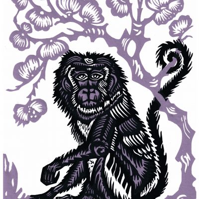Monkey (Zodiac animal series)