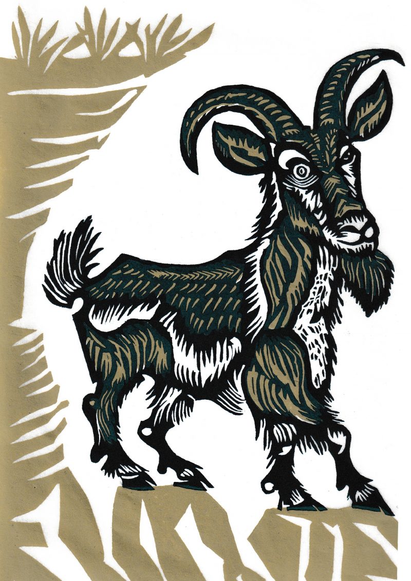 Goat (Zodiac animal series)