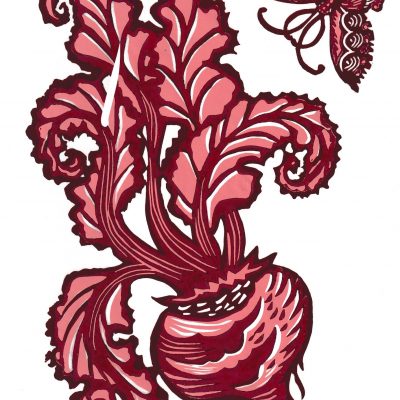 Butterfly and Beetroot
