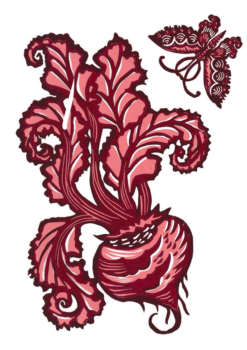 Butterfly and Beetroot