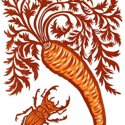 Stag Beetle and Carrot